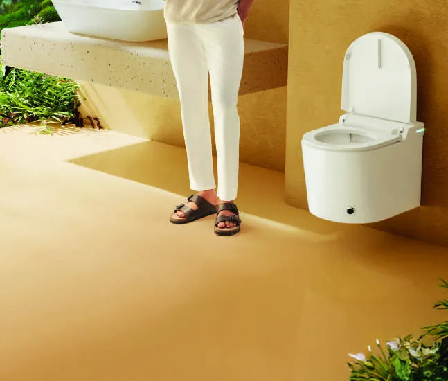Sanitaryware detail 2